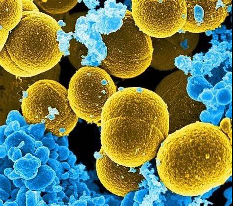 微信圖片_20200925114935.jpg 微信圖片_20200925114935.jpg