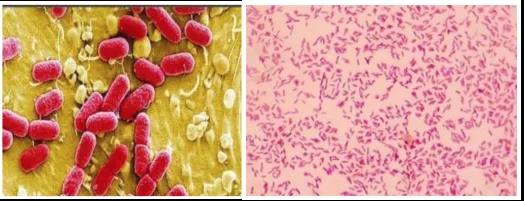 微信圖片_20200819171144.png 7650129.jpg